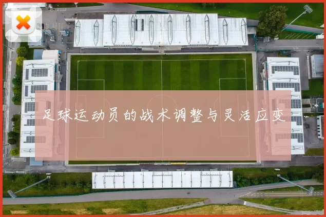 足球运动员的战术调整与灵活应变